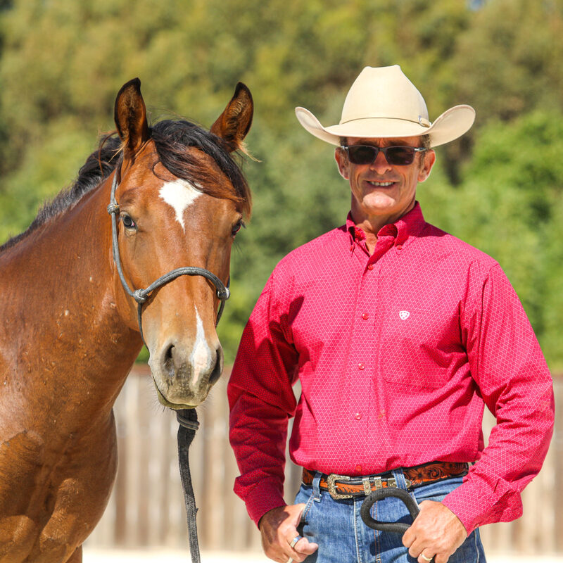 australian horse trainer - warwick schiller - david didier