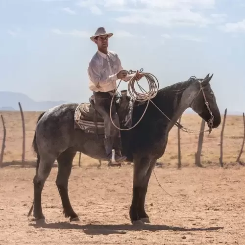 bret davis horsemanship - the started colt - david didier