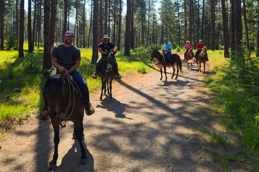 essential gear for horse riding - montana horse trail ride - david didier