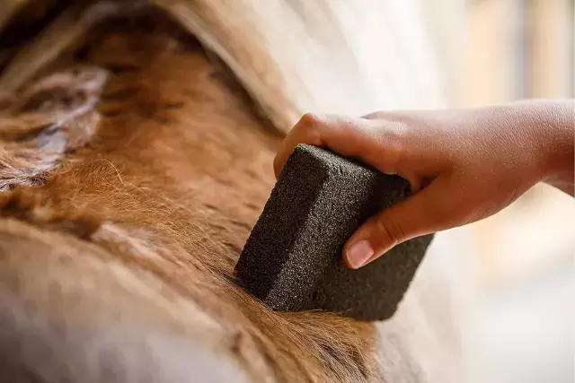 Farnam Slick 'N Easy Horse Grooming Block - horse shedding and grooming tools - david didier