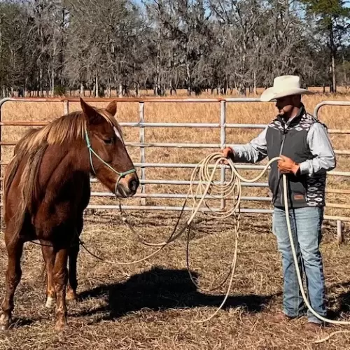 ryan rose horsemanship - horsemanship resources and trainers - david didier